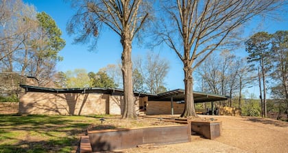 Retro vibes of the 50's, 60's, and 70's with amazing outdoor pool area!