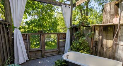 Historic Farmhouse with Hot Tub, Treehouse Shower, & Chickens!