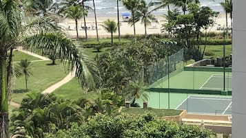 Vista da propriedade