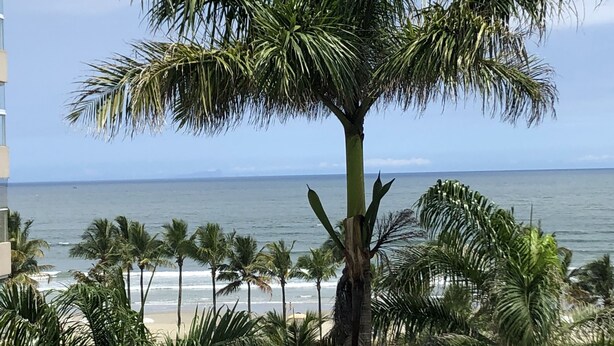 Im Vordergrund eine Palme, im Hintergrund Blick auf Strand und Meer.