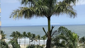 Vista da propriedade