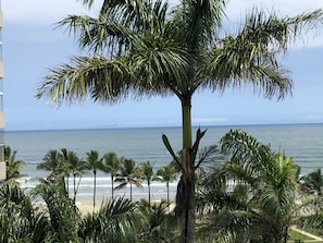 Vista desde la propiedad
