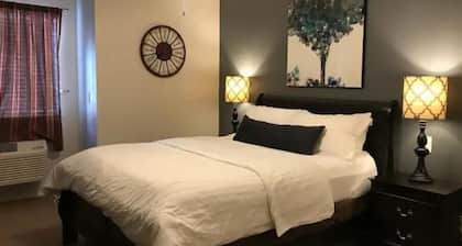 Great Studio Apt Convenient Location Free Parking!