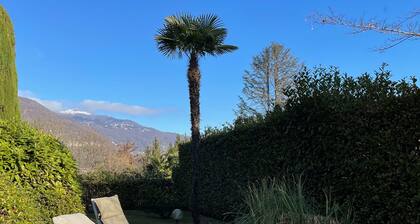 House castagno incantato