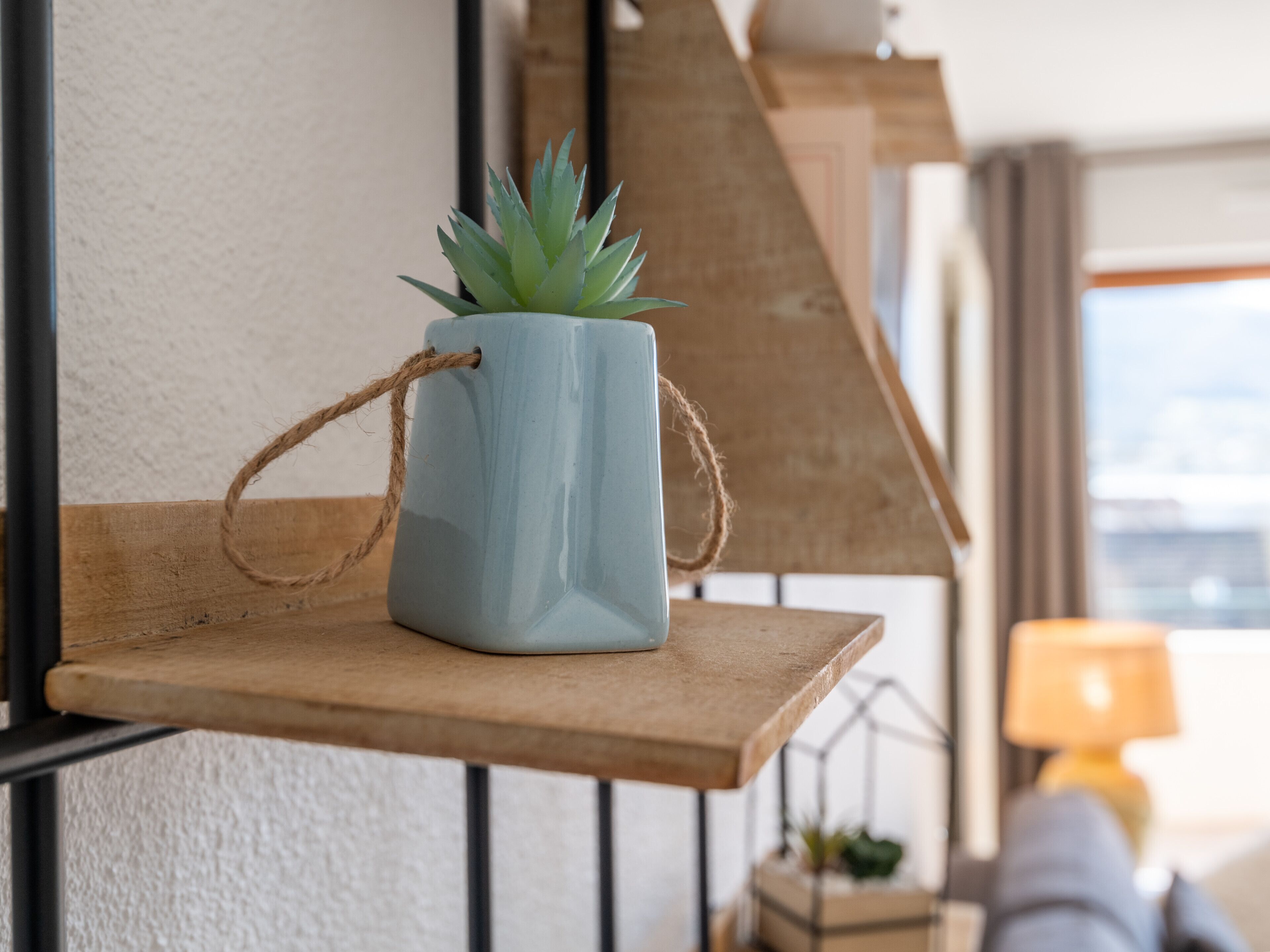 Une plante succulente en pot, posée sur une étagère en bois.