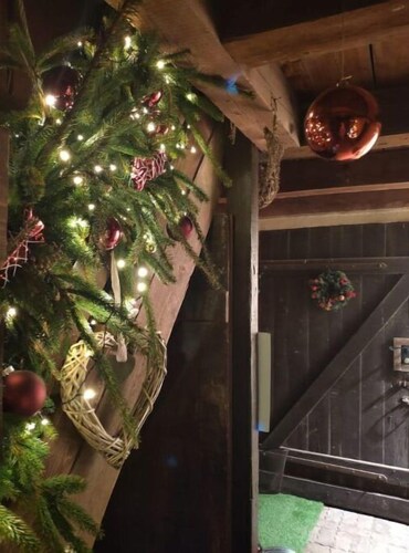 Petit Studio Indépendant Idéalement Situé