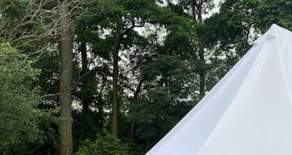Blick auf die Landschaft-King-Zelt-Eigenes Badezimmer-Rose Tent