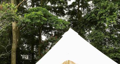 Wine Country Bell Tent w/ King Bed
