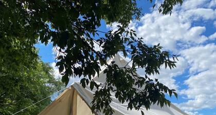Wine Country Bell Tent w/ King Bed