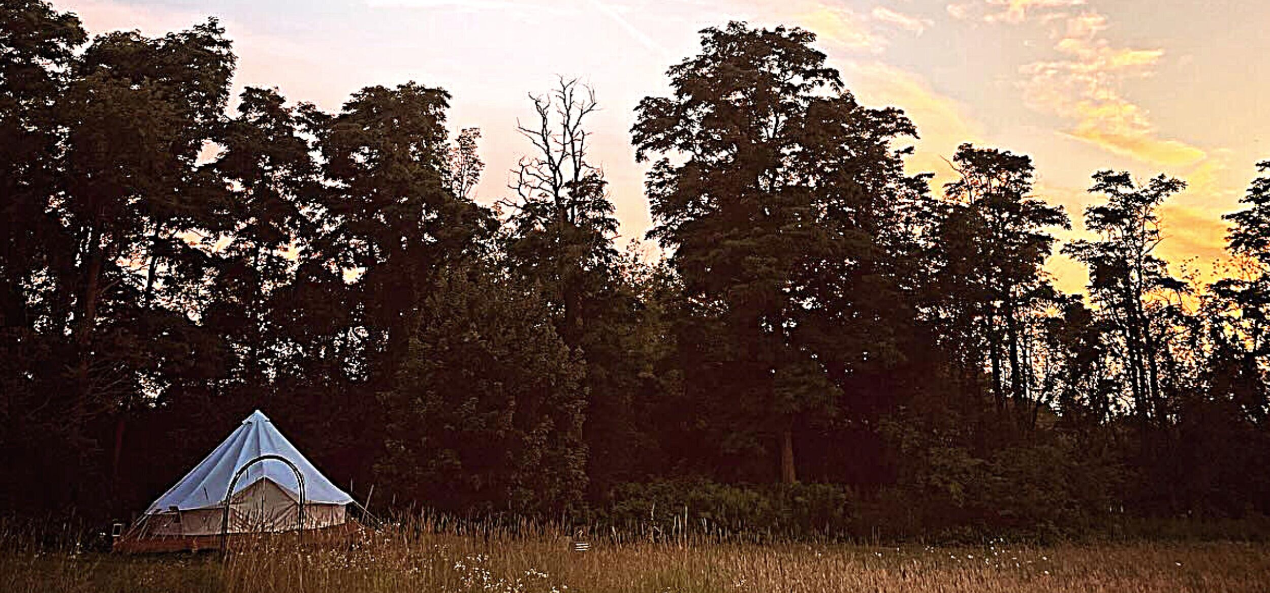 Een tent in een natuurlijke omgeving, met bomen en een zonsondergang op de achtergrond.