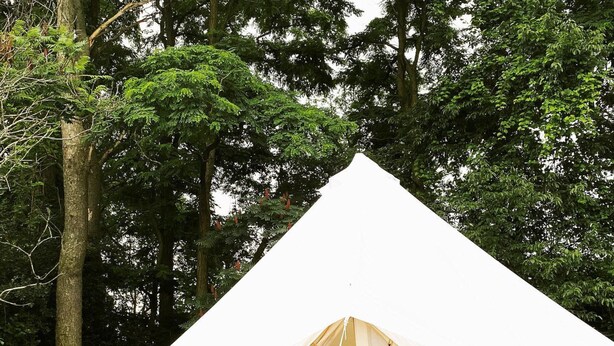 Una carpa blanca con una cama en su interior, montada sobre una terraza de madera rodeada de árboles.