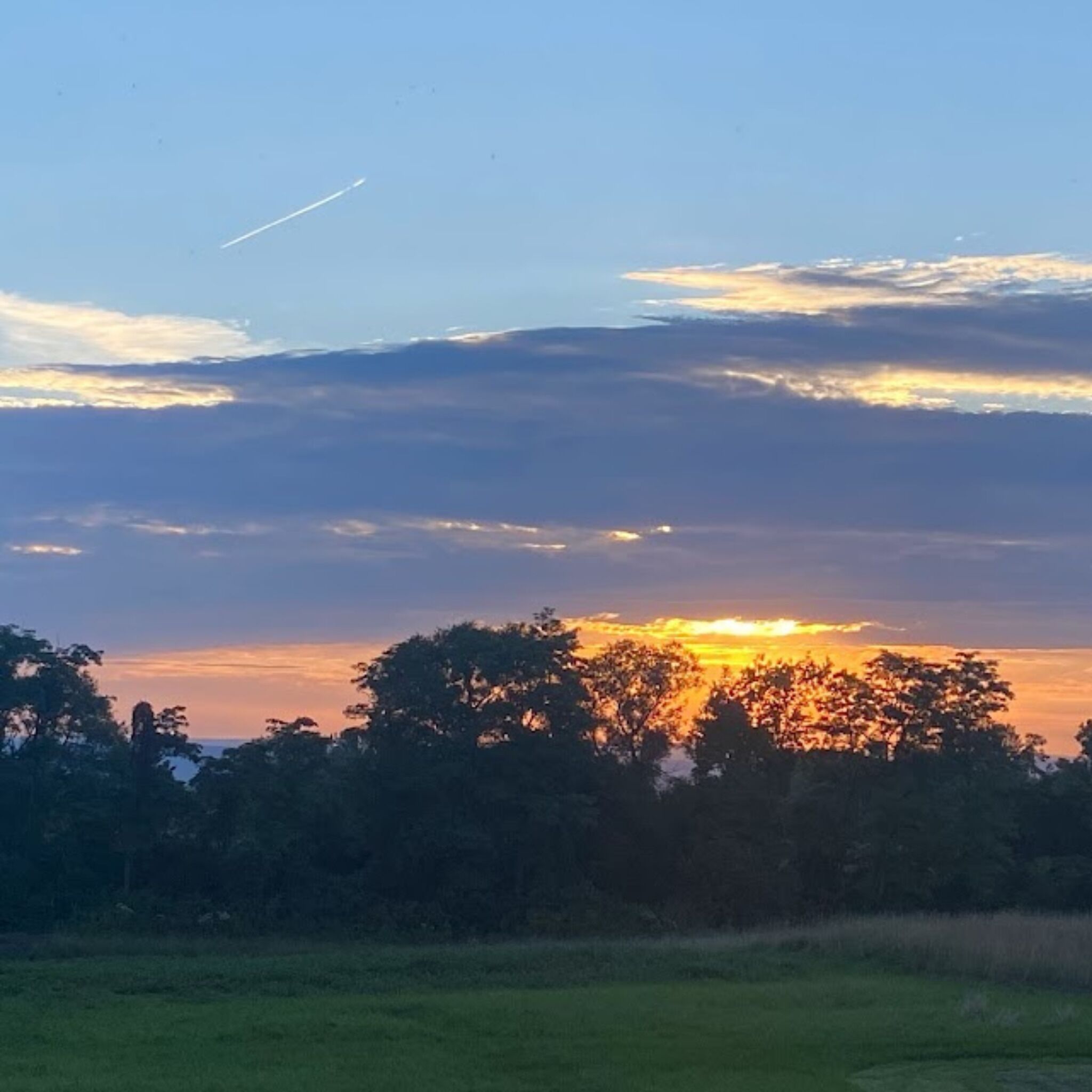 Ein Sonnenuntergang über einem Feld, im Vordergrund stehen Bäume und der Himmel ist klar.