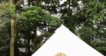 Wine Country Bell Tent w/ King Bed