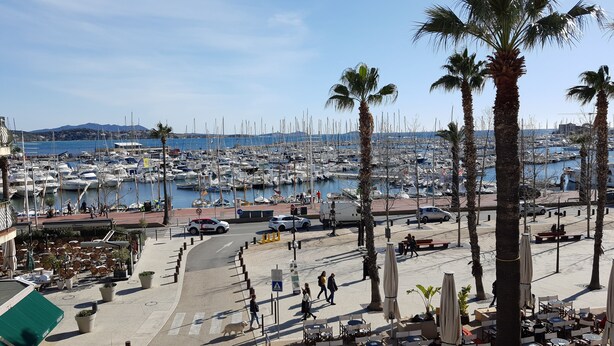 Un port de plaisance où sont amarrés de nombreux bateaux, une promenade piétonne et des palmiers.