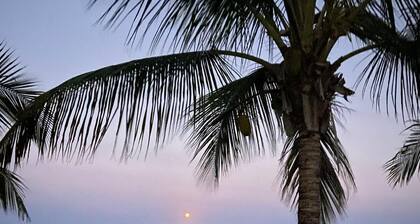 Paradise Inn Placencia - Turtle Suite on the beach