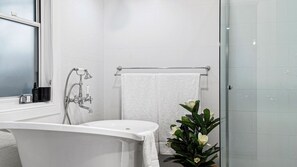 Ducha, secador de pelo y toallas