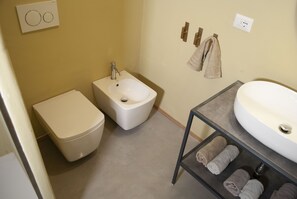 Regadera, secadora de cabello, bidet, toallas