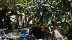 A garden with lemon trees, a table with chairs, and a building in the background. - Suite 1744 (Meta)
