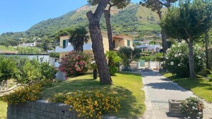 A residential area with a paved pathway, a stone wall, and a variety of flowering plants. - Panoramic studio apartment between the sea and the mountains - Forio d 'Ischia (Forio)