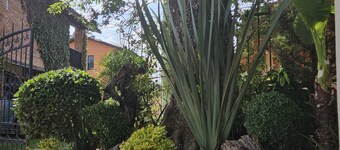 Cabañas Las Gardenias 4