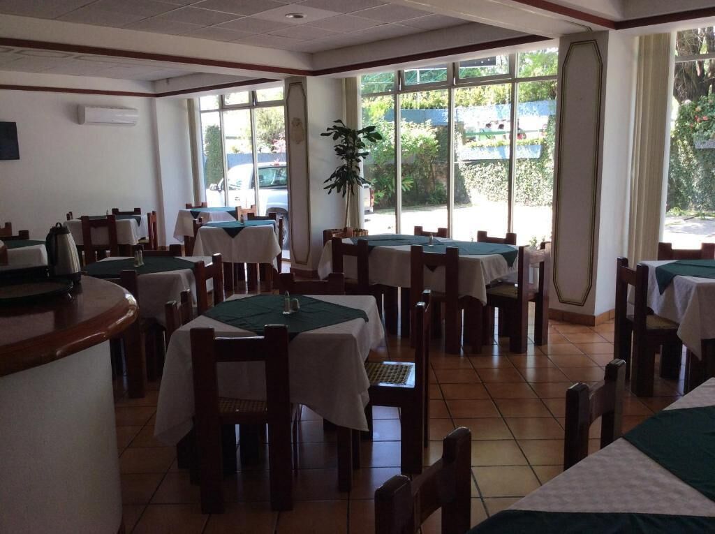 A restaurant with multiple tables and chairs, large windows, and a plant in the center.