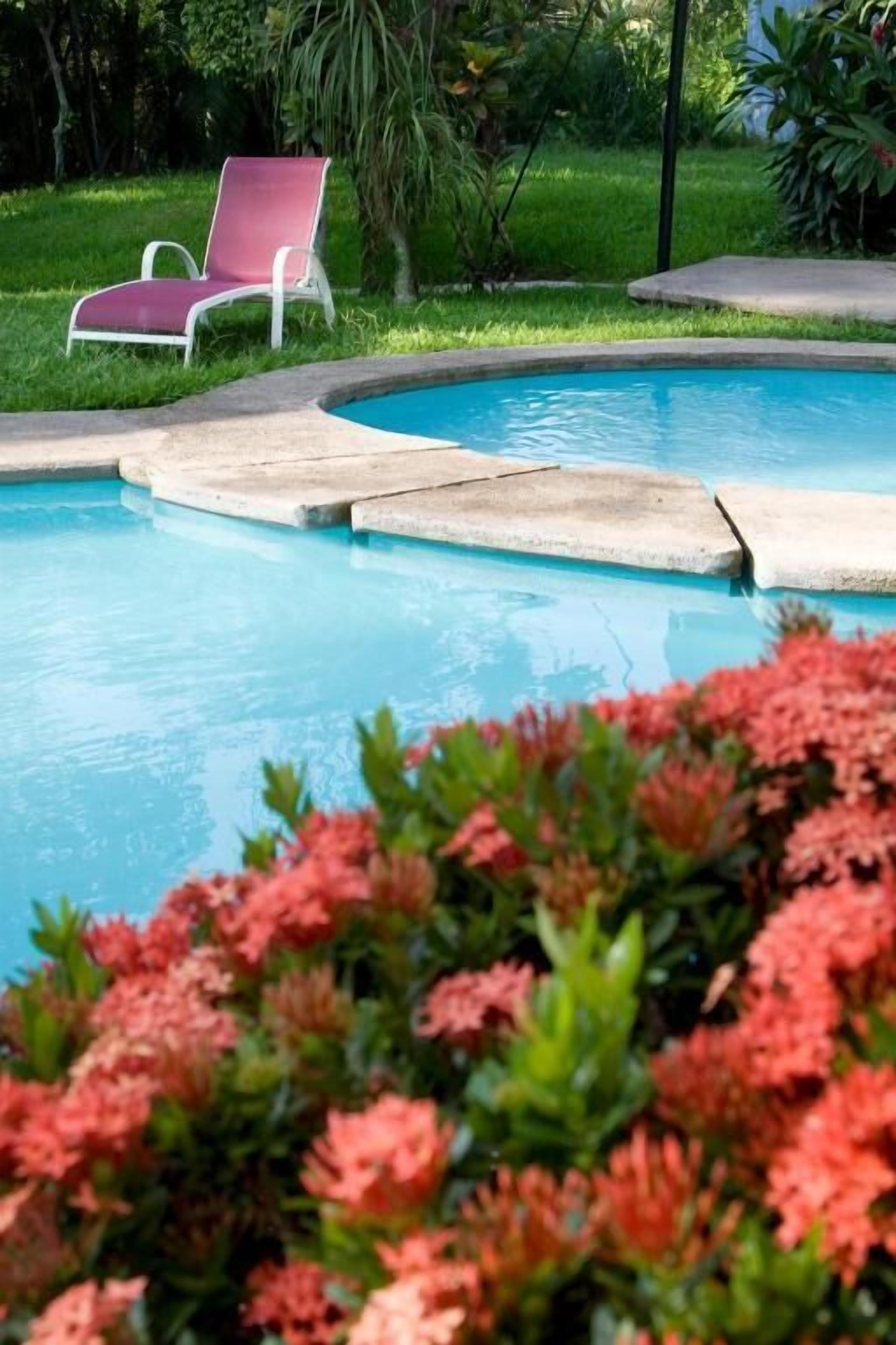 A swimming pool with a pink lounge chair and surrounding greenery.