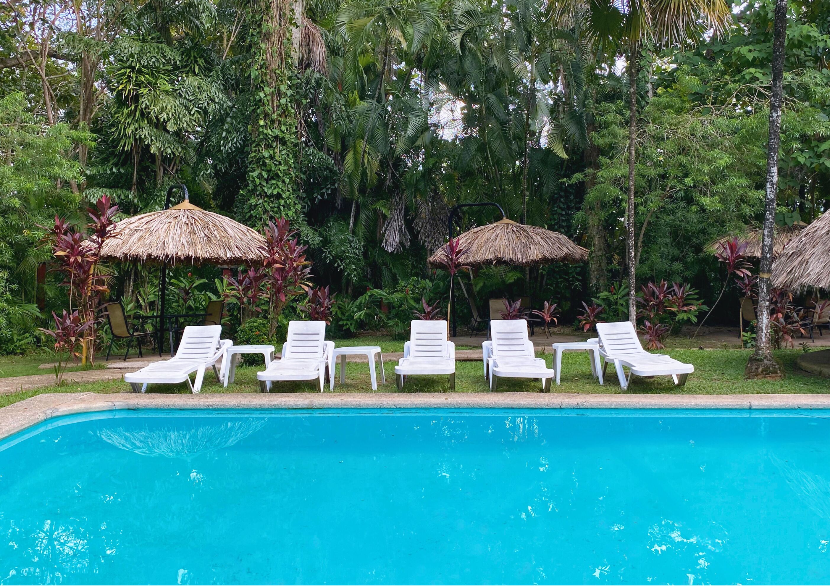 A poolside area with white lounge chairs and thatched umbrellas, surrounded by lush greenery.
