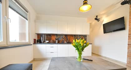 Great Apartment5 Zator - Energylandia, Auschwitz, Cracow. VILLA COASTER Welcome.