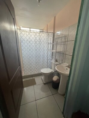 Assecador de cabells, tovalloles, sabó i paper higiènic 