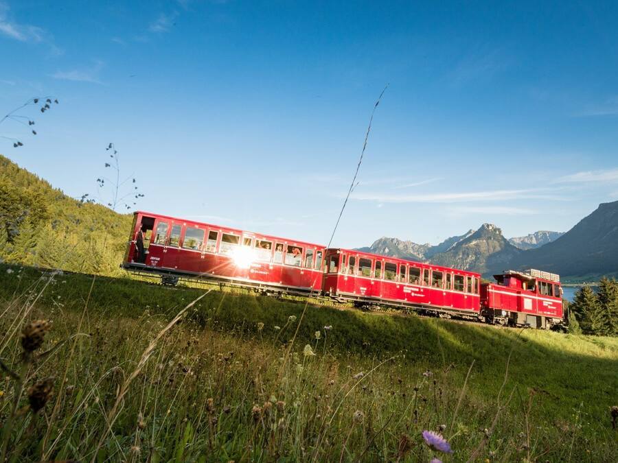 Un tren rojo que avanza por un paisaje montañoso con abundante vegetación y cielos despejados.
