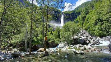 Gemeinsamer Schlafsaal, 1 Schlafzimmer, Gartenblick | Aussenbereich