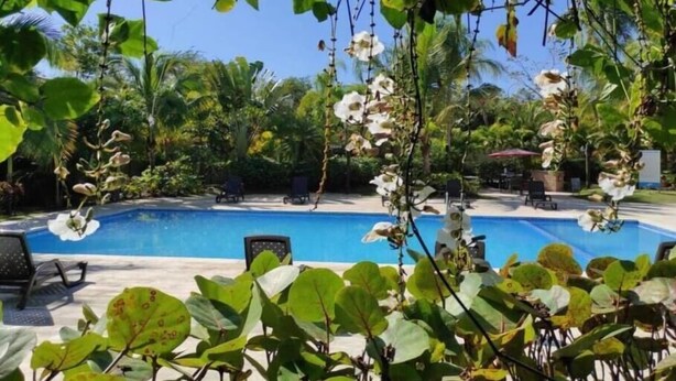 A pool area with lounge chairs and tropical plants. - Cisco's Place (Santiago de los Caballeros)