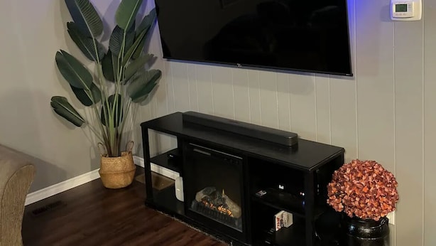 Un salon avec un téléviseur à écran plat fixé au mur, un meuble de rangement noir en dessous, une grande plante en pot et un vase décoratif avec des fleurs rouges.