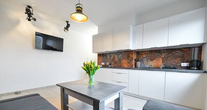 Great Apartment6 Zator - Energylandia, Auschwitz, Cracow. VILLA COASTER Welcome.