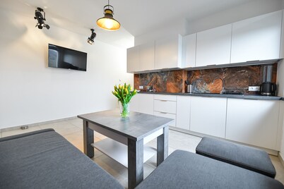 Great Apartment6 Zator - Energylandia, Auschwitz, Cracow. VILLA COASTER Welcome.