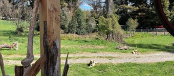 Cozy cabin in soothing Panguipulli with WiFi