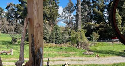 Cozy cabin in soothing Panguipulli with WiFi