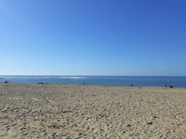 Plage à proximité