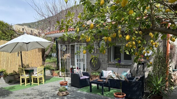 Un patio con mobiliario exterior, una mesa y sillas, rodeado de plantas en macetas y una pérgola con limones colgantes.