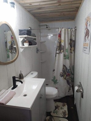 Hair dryer, towels, soap, shampoo