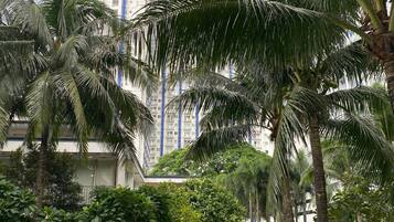 Condo, 1 Bedroom | Garden