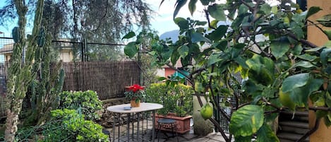 Appartement, 2 chambres, fumeurs, balcon | Jardin