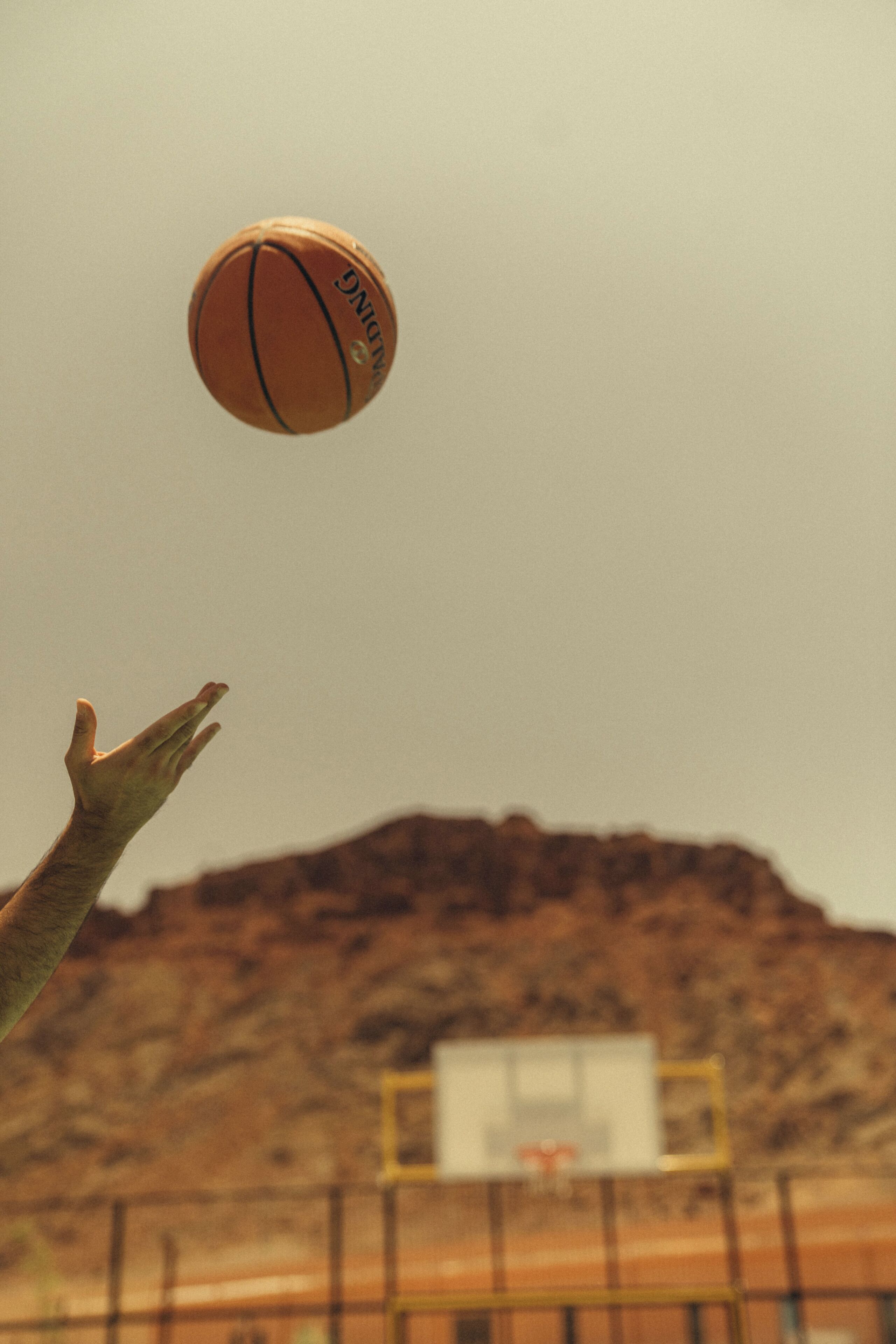 Un pallacanestro in aria con una mano che si protende verso di essa, sullo sfondo di montagne.