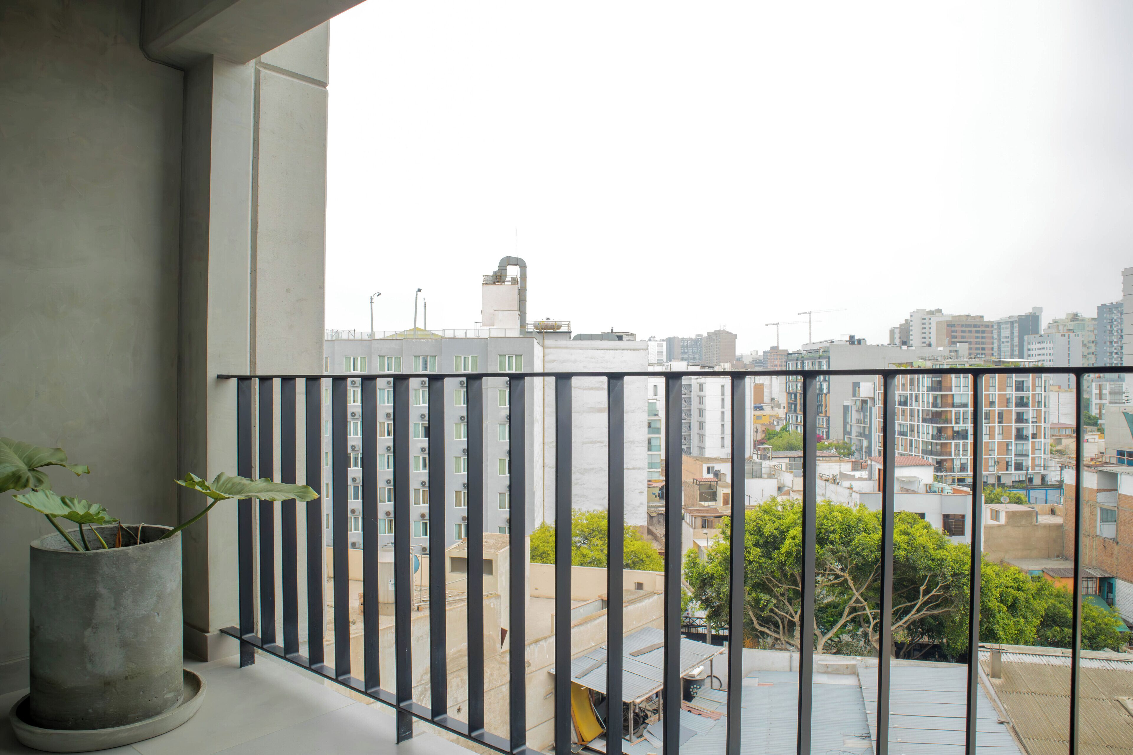 A balcony with a potted plant, a metal railing, and a cityscape view in the background.