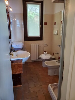 Shower, hair dryer, bidet, towels