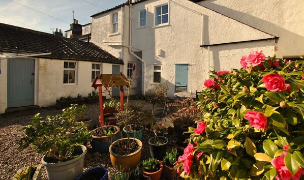 Exterior - The Old Surgery, Crail- welcoming apartment (Crail)