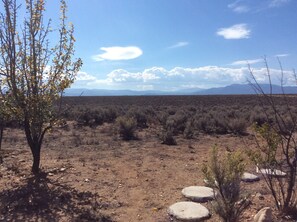 Hårføner, håndklær, såpe og sjampo