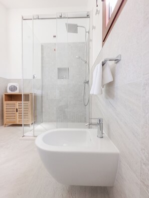 Shower, hair dryer, bidet, towels