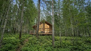 Una cabaña de madera rodeada por un bosque denso.