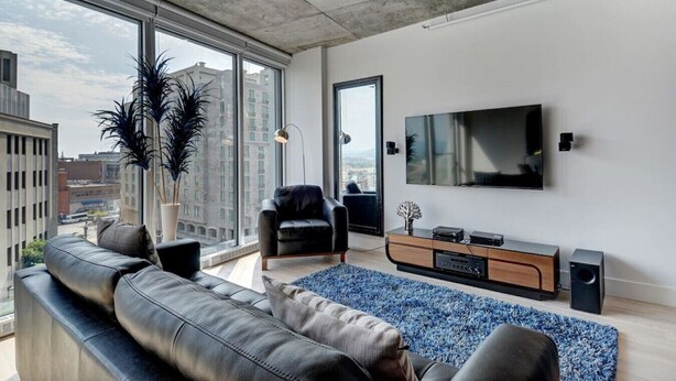 Un salon moderne doté d’une grande fenêtre, d’un canapé en cuir noir, d’un tapis bleu, d’un fauteuil noir, d’une console en bois sur laquelle repose un téléviseur à écran plat, et d’une grande plante.